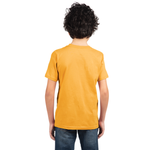 Youth X-Large Gold Next Level 3310 