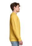 X-Small Antique Gold Lane Seven LS14004 