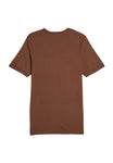 X-Small Chestnut Lane Seven LS15000 