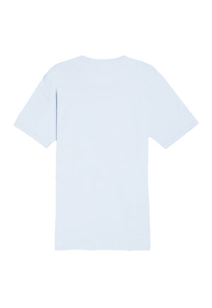 X-Small Dusty Blue Lane Seven LS15001 
