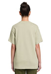 X-Small Moss Gray Lane Seven LS17005 