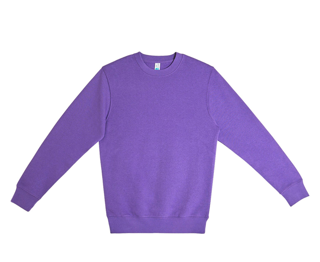 X-Small Purple Lane Seven LS14004 