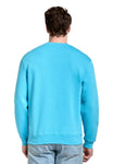 X-Small Ocean Blue Lane Seven LS14004 