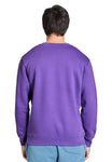 X-Small Purple Lane Seven LS14004 
