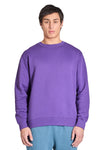 X-Small Purple Lane Seven LS14004 