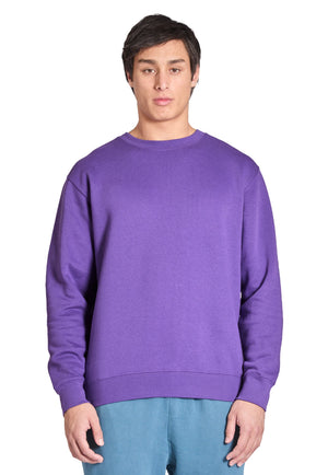 X-Small Purple Lane Seven LS14004 
