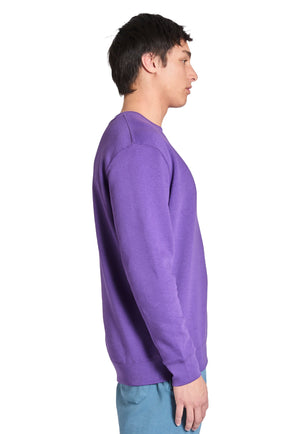 X-Small Purple Lane Seven LS14004 