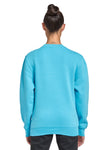 X-Small Ocean Blue Lane Seven LS14004 