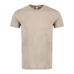 X-Small OATMEAL Heather Smart Blanks 501 
